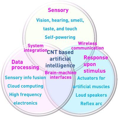 德国Cuniberti教授综述 碳纳米管在5G物联网时代的应用与人工智能行业系统集成